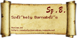 Székely Barnabás névjegykártya
